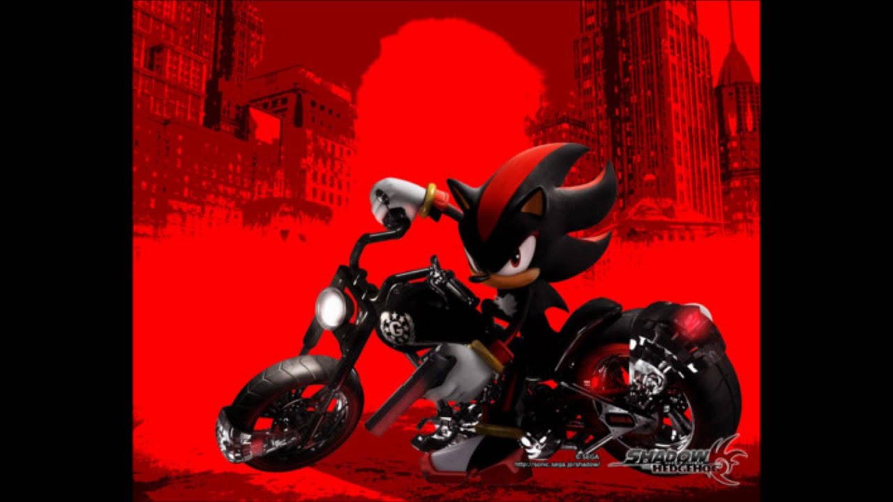 Never Turn Back-Crush 40 (Shadow the Hedgehog) With Lyrics 