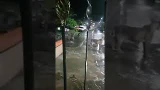7 lions found roaming in gujarats junagadh video is viral
