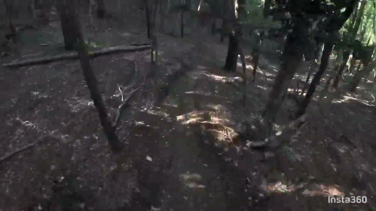 MTB Cesane: Dobby Line