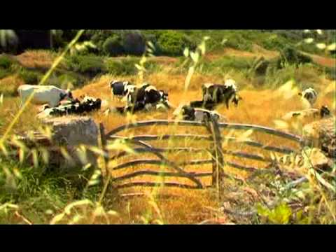 Venez découvrir Minorque