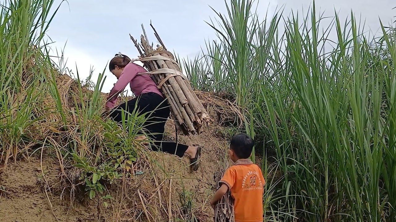 The mother and her two children went to chop firewood, and the ending ...