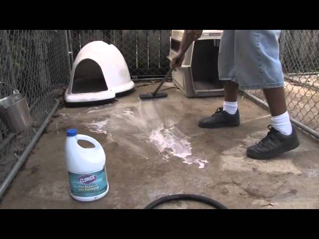 dog kennel cleaner