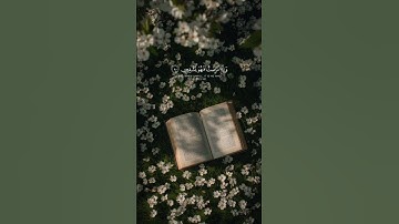 تلاوة خاشعة 🤍 #فلسطين #قرآن #تلاوات #غزة #هدوء #راحة_نفسية #قران_كريم #تلاوة_خاشعة #صلاة #قرآن 💗