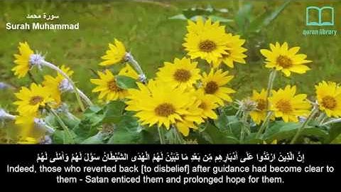 سورة محمد - سعد الغامدي - مترجم | Surah Muhammad - Saad Alghamdi - English subtitles