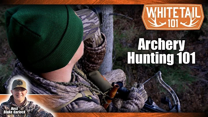 A Beginner’s Guide to Bowhunting Whitetail Deer