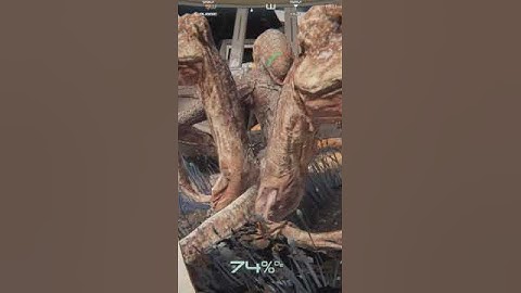 Osiris: New Dawn - Surprise!!!