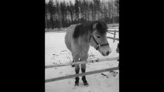 R.i.p Lakon Tirlittan