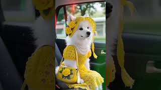 🥰🤗🍂#позитив #добрый #вечер #весёлая #музыка #shortvideo #yutubeshorts