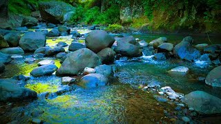 Relaxing River Sound relieve anxiety and stress, lullaby, for studying, for yoga