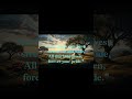 Land of Promise Seen - pt4