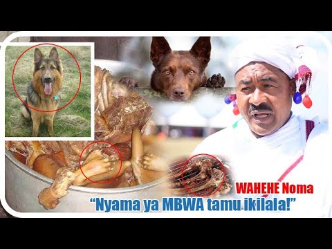 Video: Mbwa wanaweza kula pomace ya nyanya?