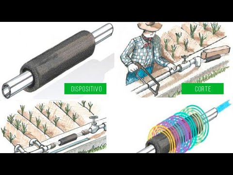 ¿Cómo ahorrar en la compra de insumos agropecuarios con el sistema Crop Booster?
