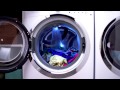 Front Load Washer with IQ-Touch™ - 15-Minute Laundry Wash | Electrolux Appliances