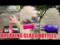 Breaking Glass Bottles &amp; Balloon Drops 💥Crushing Crunchy &amp; Soft Things!#asmr #satisfying