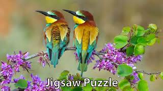 More Birds on Blooming Branches screenshot 3
