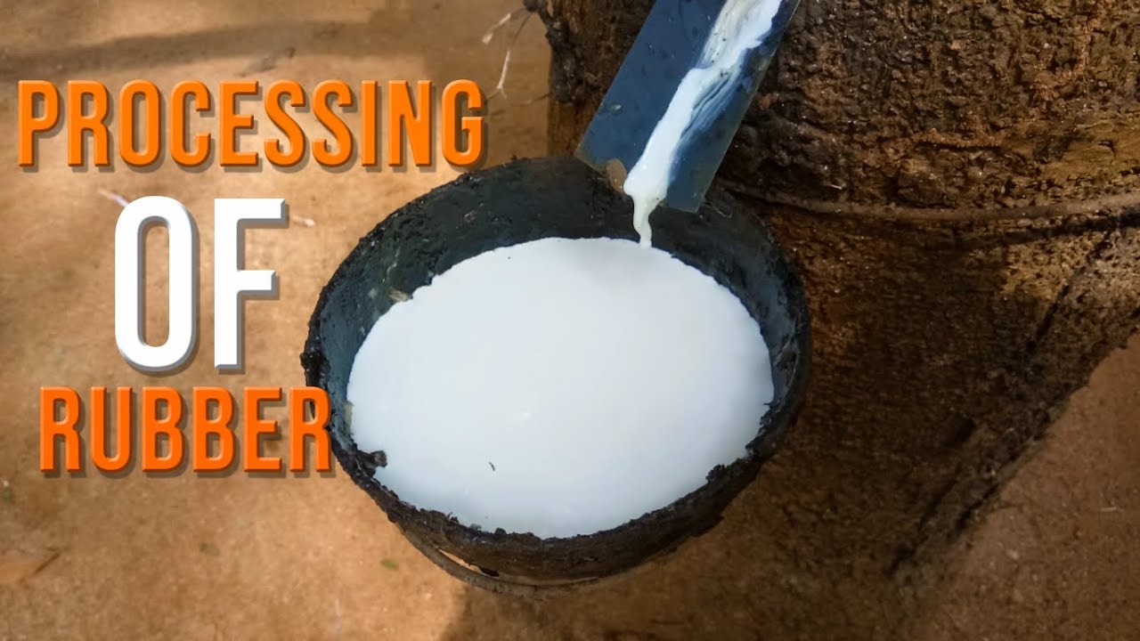 Процесс производства резины | Производство натурального каучука | 