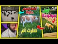 محاكي المزارع 4 ولادة البقرة مشكلة أحمد تجربة الربح من البقر Ranch Simulator S3 