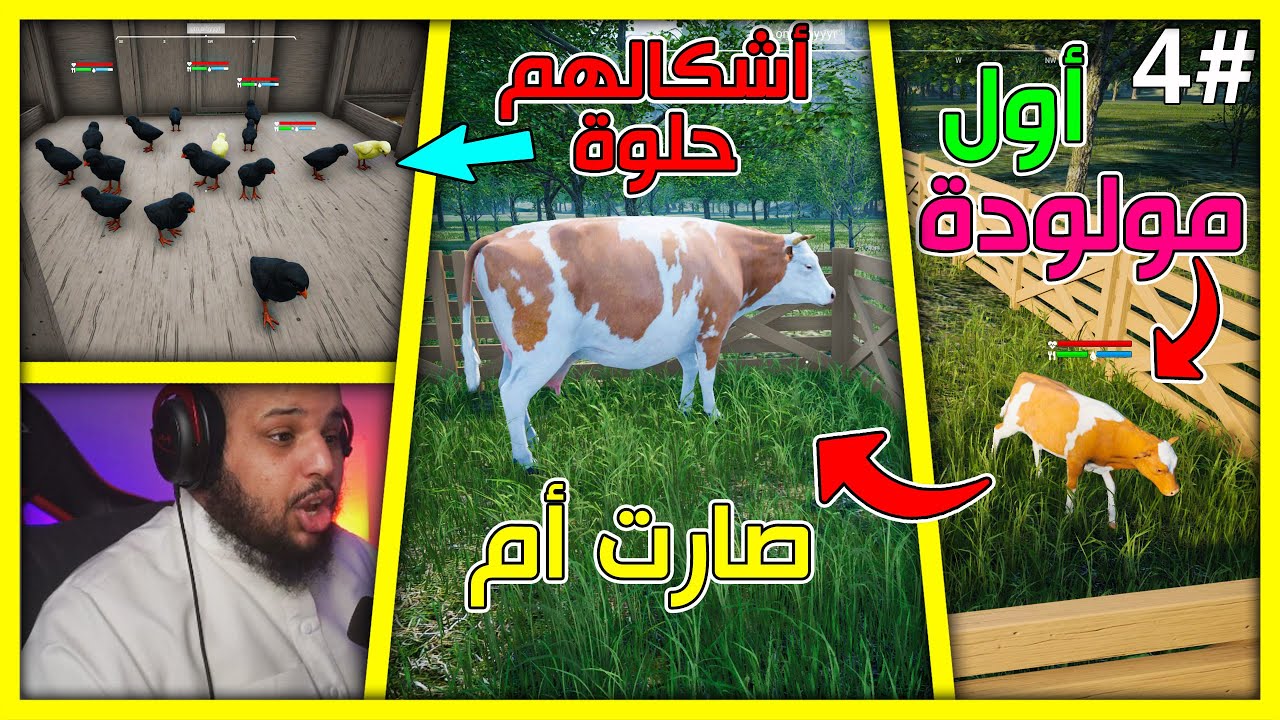 محاكي المزارع #4| ولادة البقرة - مشكلة أحمد - تجربة الربح من البقر🔥 |Ranch Simulator |S3