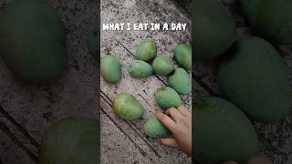 What I Eat In A Day Sunday Edition 🤤#runwithus#bengalifood#explore#ytshorts#viral#food#momolove