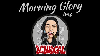 Morning Glory With Bcbudgal Lets Get Trippy