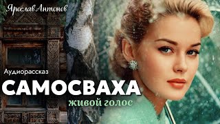 картинка: Самосваха. Ярослав Антонов 