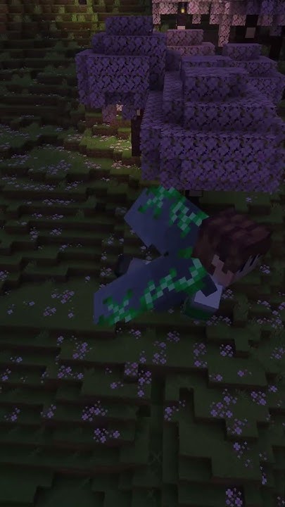 Мод на кастомные элитры. Elytra trims. #minecraft #майнкрафт #мод - YouTube