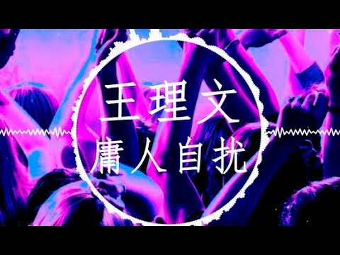 王理文【庸人自扰】慢摇 EDM Remix (活該又想起你模樣)