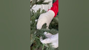How to fluff a christmas tree