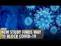 Study: Orally administered drug 'TEMPOL' can inhibit COVID-19's replication | SARS-CoV-2 | WION News