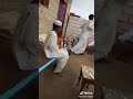 بريده لي حد الجنون 