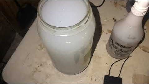 How to make feminized seeds with colloidal silver