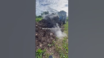 Steamy Compost Science ♨️