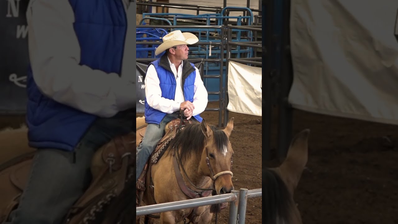 Encourage Your Horse Don T Be A Passenger