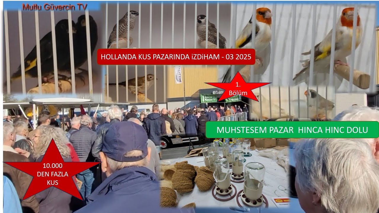 Hollanda Kuş Pazarı -03- 2025. İzdiham Dolu efsane Pazar.🌹TÜM İZLEYİCİLERİMİN BAYRAMI KUTLU OLSUN 🌹