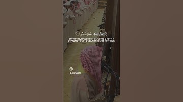 سورة القمر | إِنَّ الْمُجْرِمِينَ فِي ضَلَالٍ وَسُعُرٍ | للقارئ محمد اللحيدان ‎#ليله_27 ‎#ليلة_القدر
