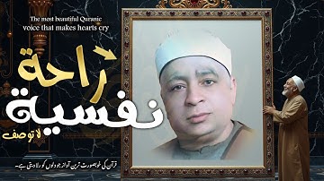 آيات كالمطر على القلوب الصلداء !!  تلاوة تبعث في الإيمان 👌 | Soothing Tilawah