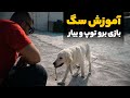 آموزش سگ توپ بازی یا برو توپ و بیار 