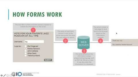 Introduction to Web Design - Working with Forms