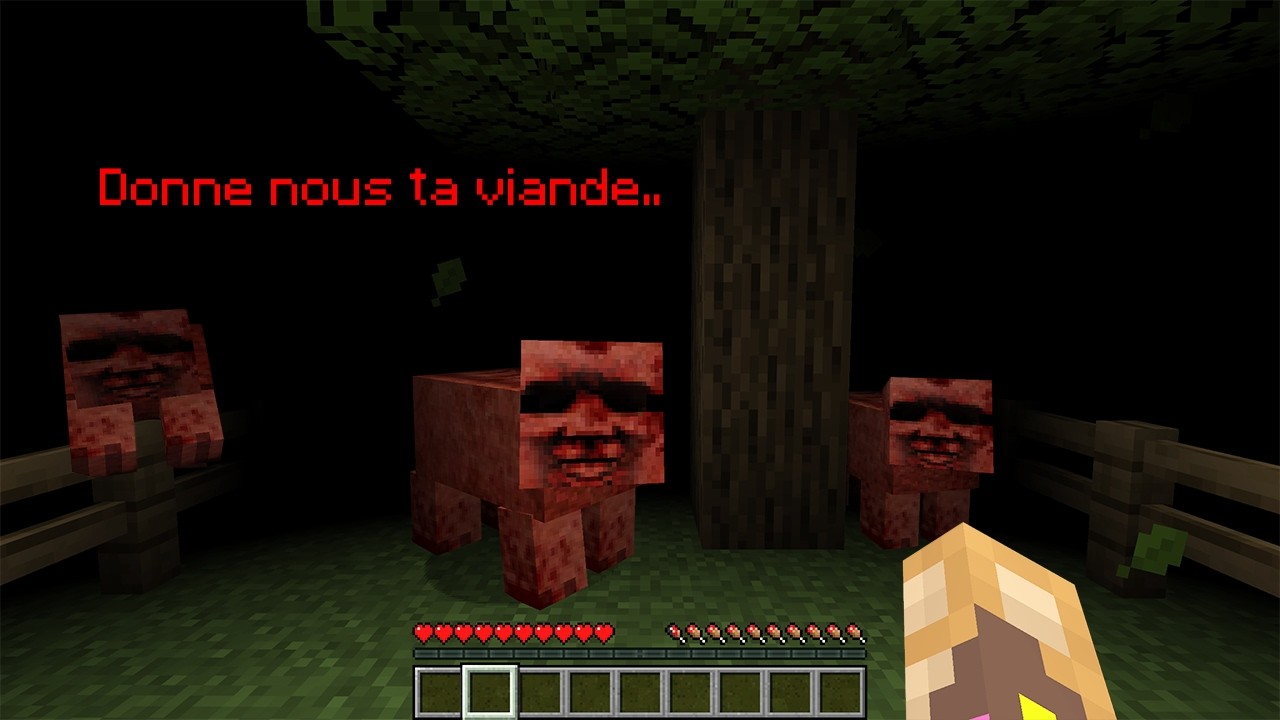LE RETOUR DU MOD BANNI LE PLUS FLIPPANT DE MINECRAFT..