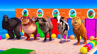 Long Slide Game with Dinosaur Lion Cow Hippopotamus Gorilla 3d Animal Game Funny 3d Animals Long Slide Game with Dinosaur Lion Cow Hippopotamus Gorilla 3d Animal Game Funny 3d Animals