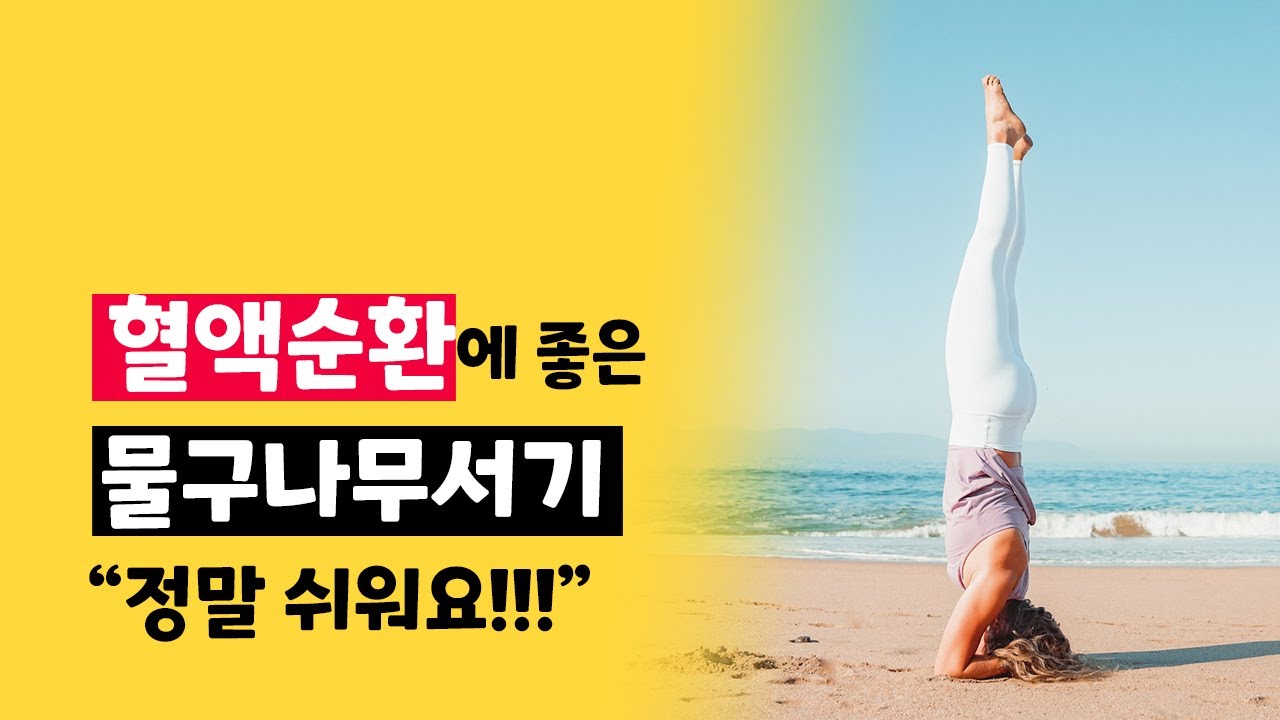 물구나무서기 쉽게 하는 법 | 척추강화 골반교정 혈액순환 필요시 추천 홈트레이닝 | easy handstand tutorial ...