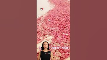 #fcnfm High-Capacity Drying Room for Efficient Dehydration of Various Materials