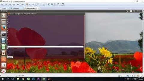 Bekerja Dengan Bash Shell di Sistem Operasi Linux