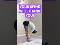 Daily Forward Fold | Simple Stretch for a Happy Spine! #yogaflow