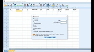 Entering Data in SPSS