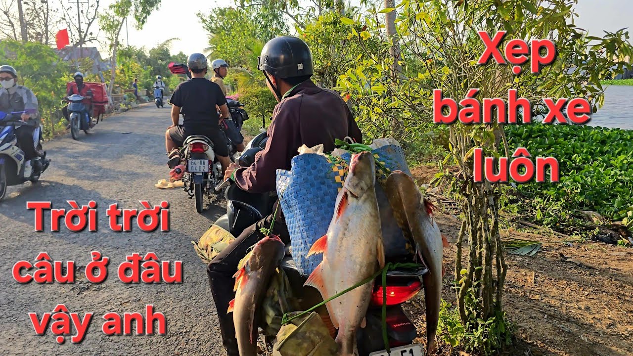 Đi câu mà gập cảnh này. Sông Mỹ Phước còn quá nhiều ẩn số | Săn bắt SÓC TRĂNG |