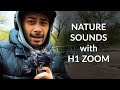 Capturing Nature Sounds With H1 Zoom Recorder