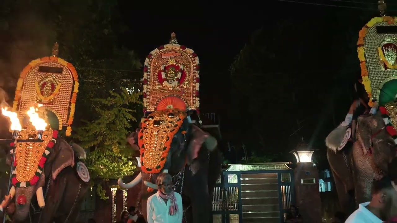 👌👌👌 അമരത്തിലെ ഒരു പാട്ട് കേട്ടാലോ ❤️❤️#viral #video #viralvideos #song 