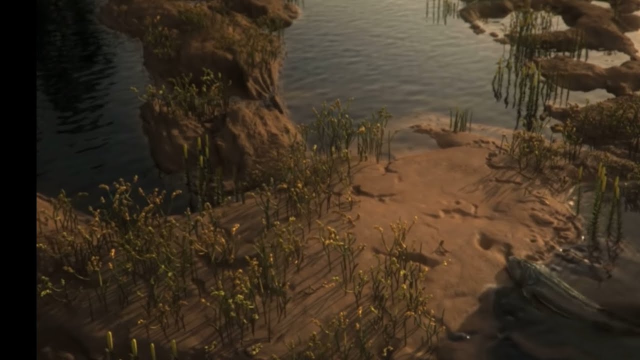 Tiktaalik Fossil - YouTube
