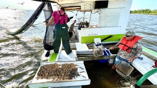 Famous 20,000 Shrimp and a BOAT Full of WATER in less then 4 HOURS! (Catch & Cook Cajun Style) Wealth